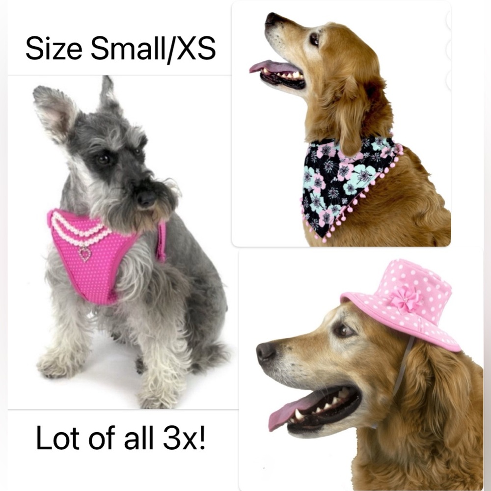 NWT Lot of 3x [Vibrant Life] Girly Dog Harness Bandanna & Hat, XS/Small Dog/Cat